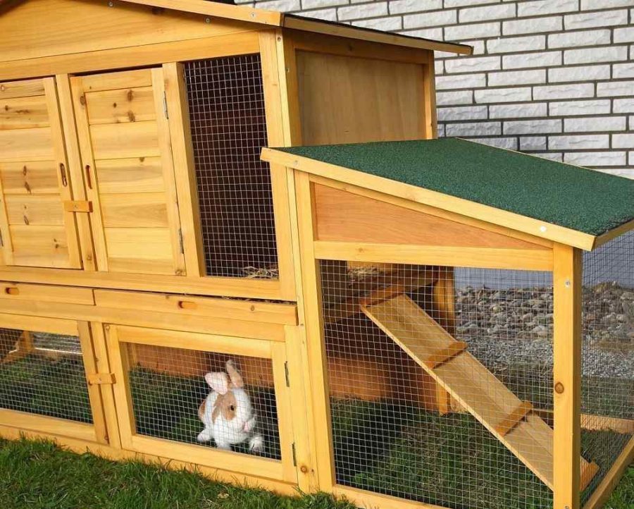 A Nesting Box For Rabbits